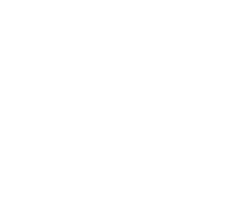 DS S Logo white